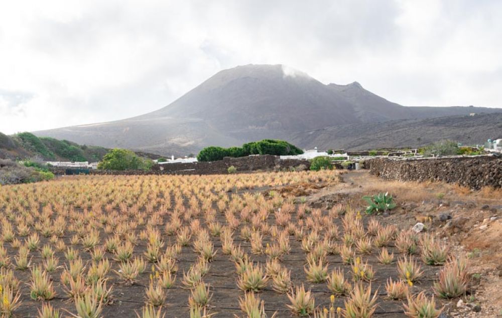 que faire à lanzarote